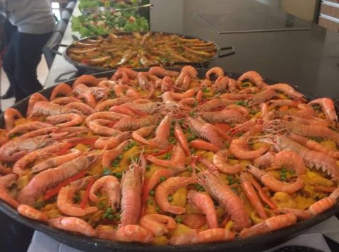 WhatsApp Image 2023-05-07 at 18.45.31